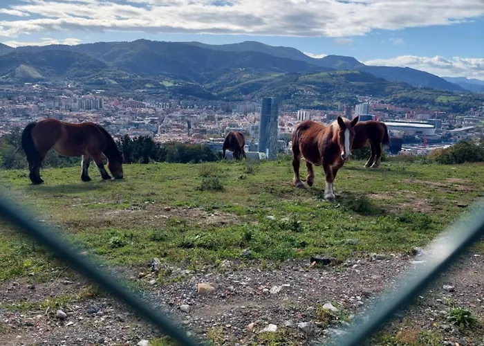 Center 90's Parking Homestay *