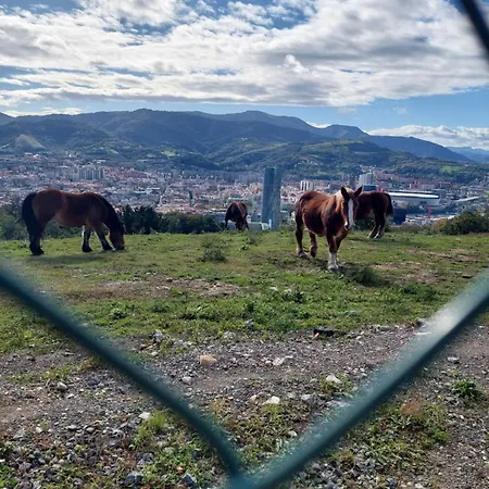 Center 90's Parking 홈스테이 *